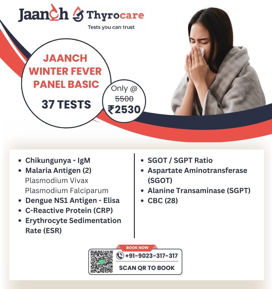 Jaanch - Winter Fever Panel Basic