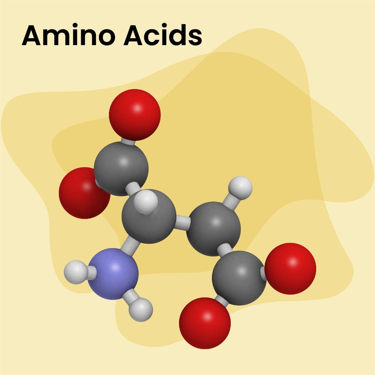 AMINO ACIDS