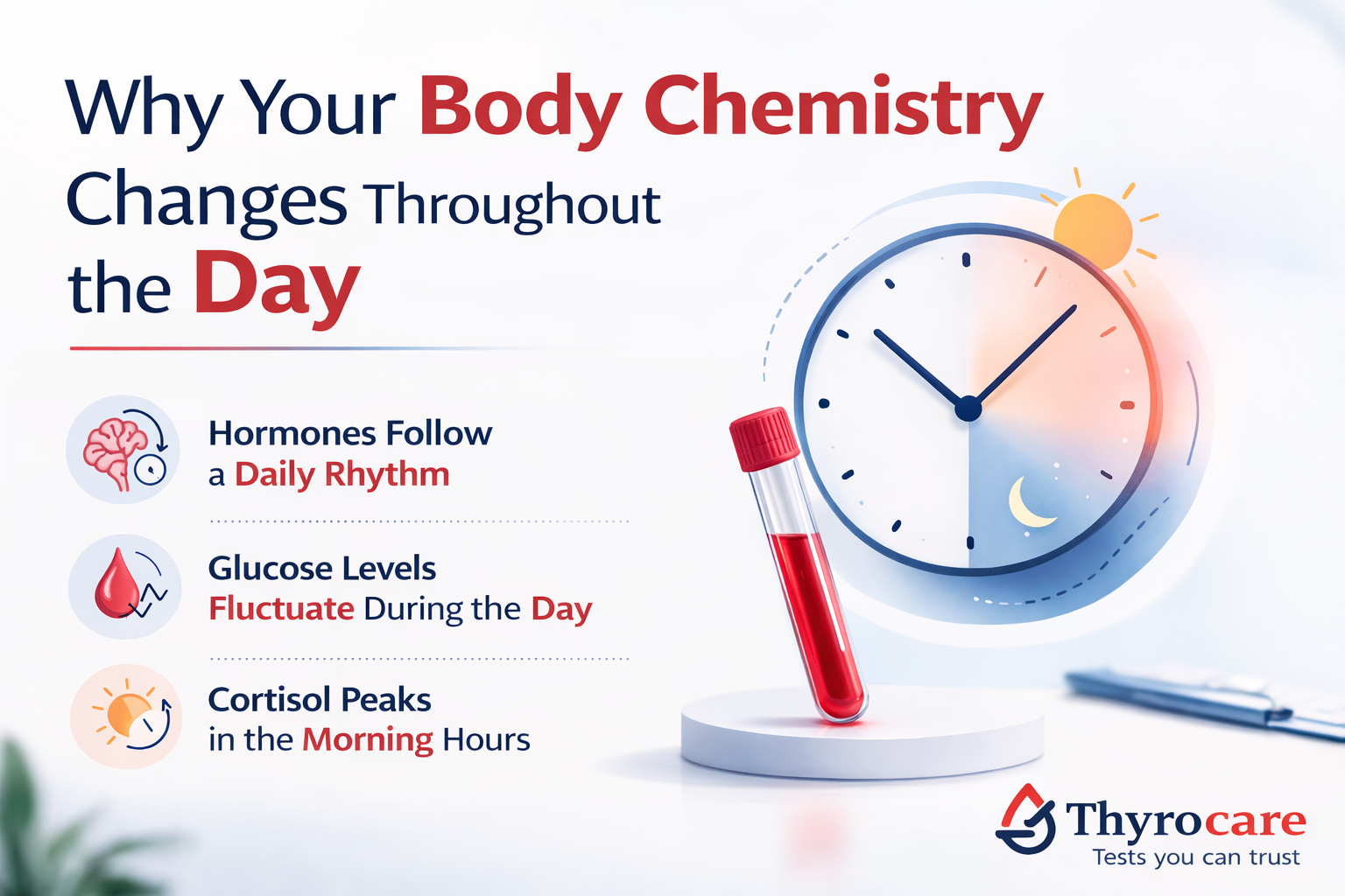 Why Your Body Chemistry Changes Throughout the Day