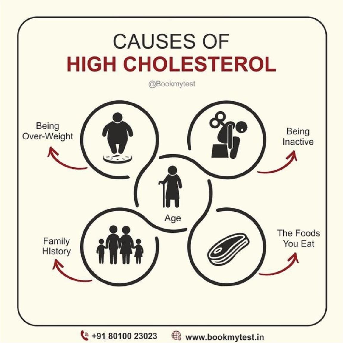 Causes of High Cholesterol