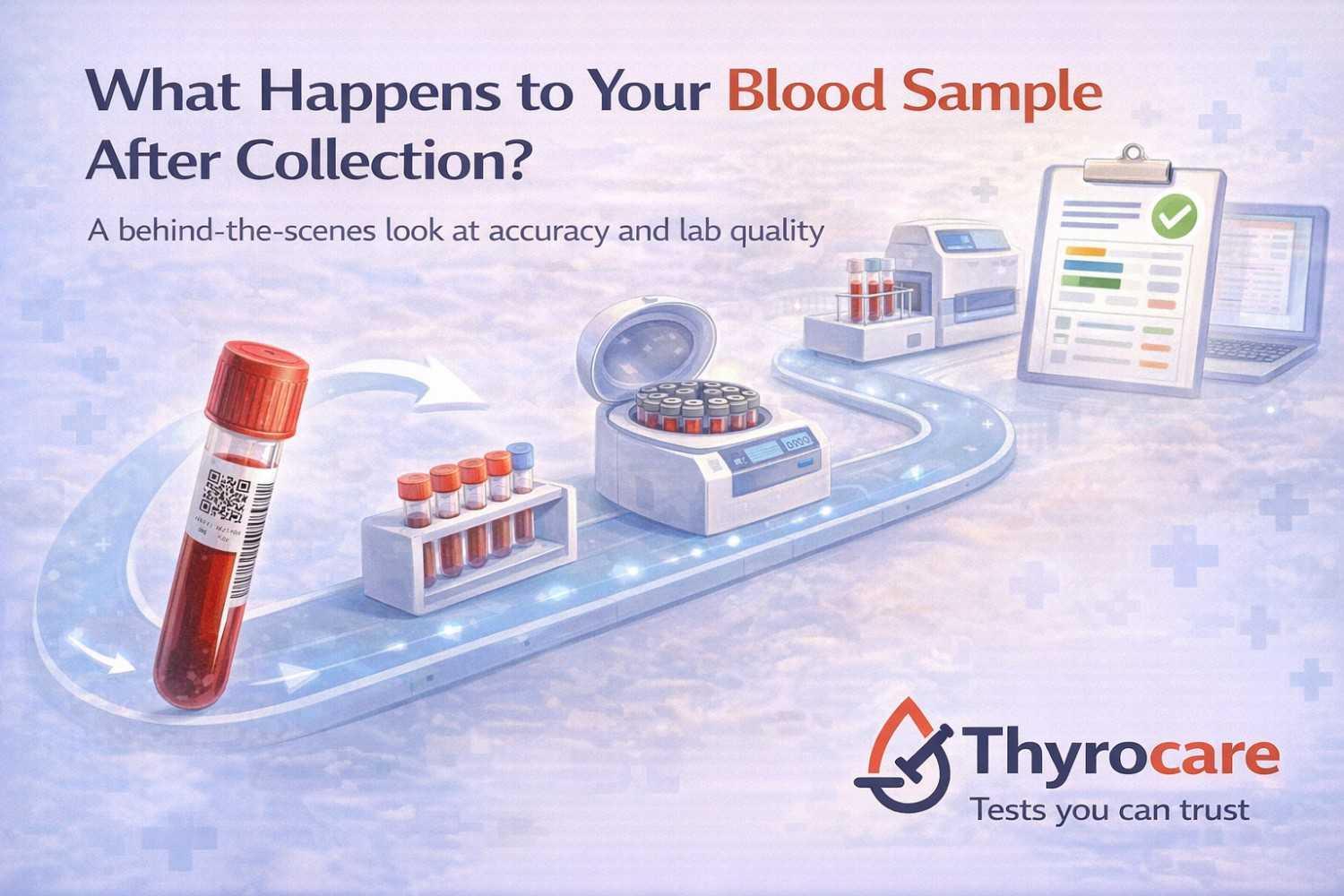 What Happens to Your Blood Sample After Collection? A Behind-the-Scenes Look