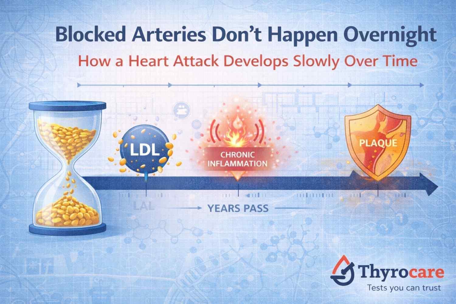 Blocked Arteries Don’t Happen Overnight: The Slow Biology Behind a Heart Attack