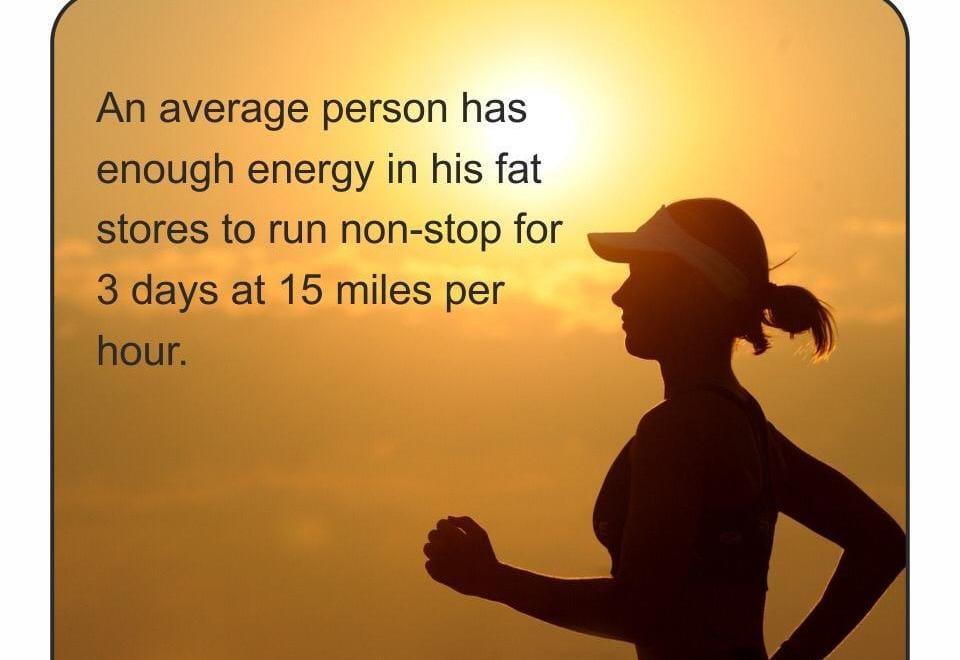 FITNESS ESSENTIAL CHECKUP